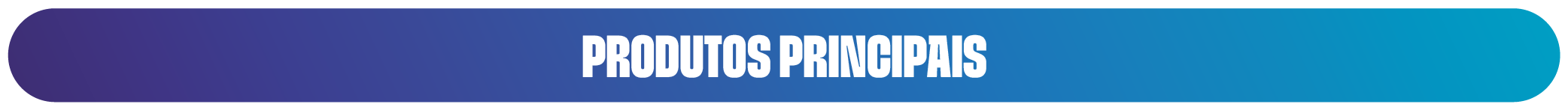 BANNERS_Banner-produtos-principais