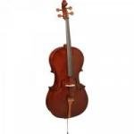 Violoncelo 4/4 HCE100 HOFMA