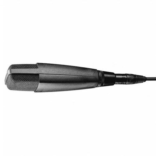 Microfone Sennheiser MD 421-II Dinâmico Cardióide