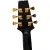 Guitarra Aria Pro II PE-350CST Aged Black
