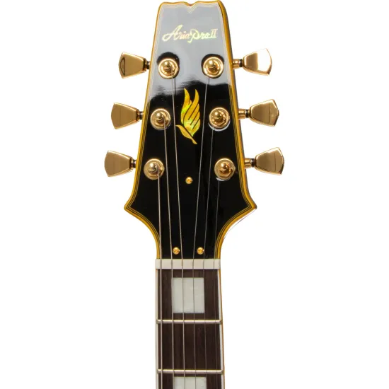 Guitarra Aria Pro II PE-350CST Aged Black