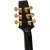Guitarra Aria Pro II PE-350PF Aged Black