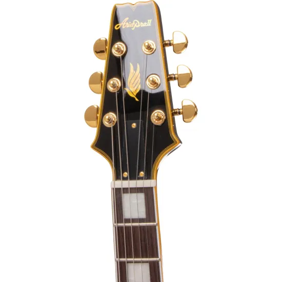 Guitarra Aria Pro II PE-350PF Aged Black