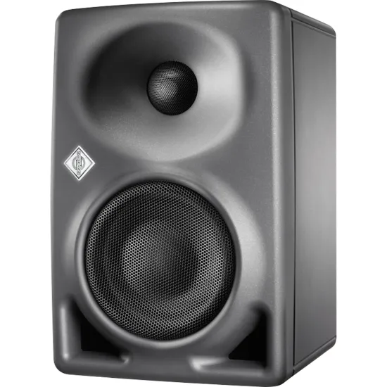 Monitor de 2 Vias Neumann KH 80 DSP A G EU - Hayamax
