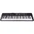Teclado Harmonics HA-500 Musical