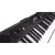 Teclado Harmonics HA-500 Musical