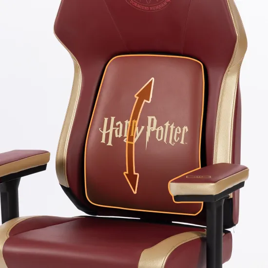 Cadeira Gamer Harry Potter ThunderX3 CORE Smart