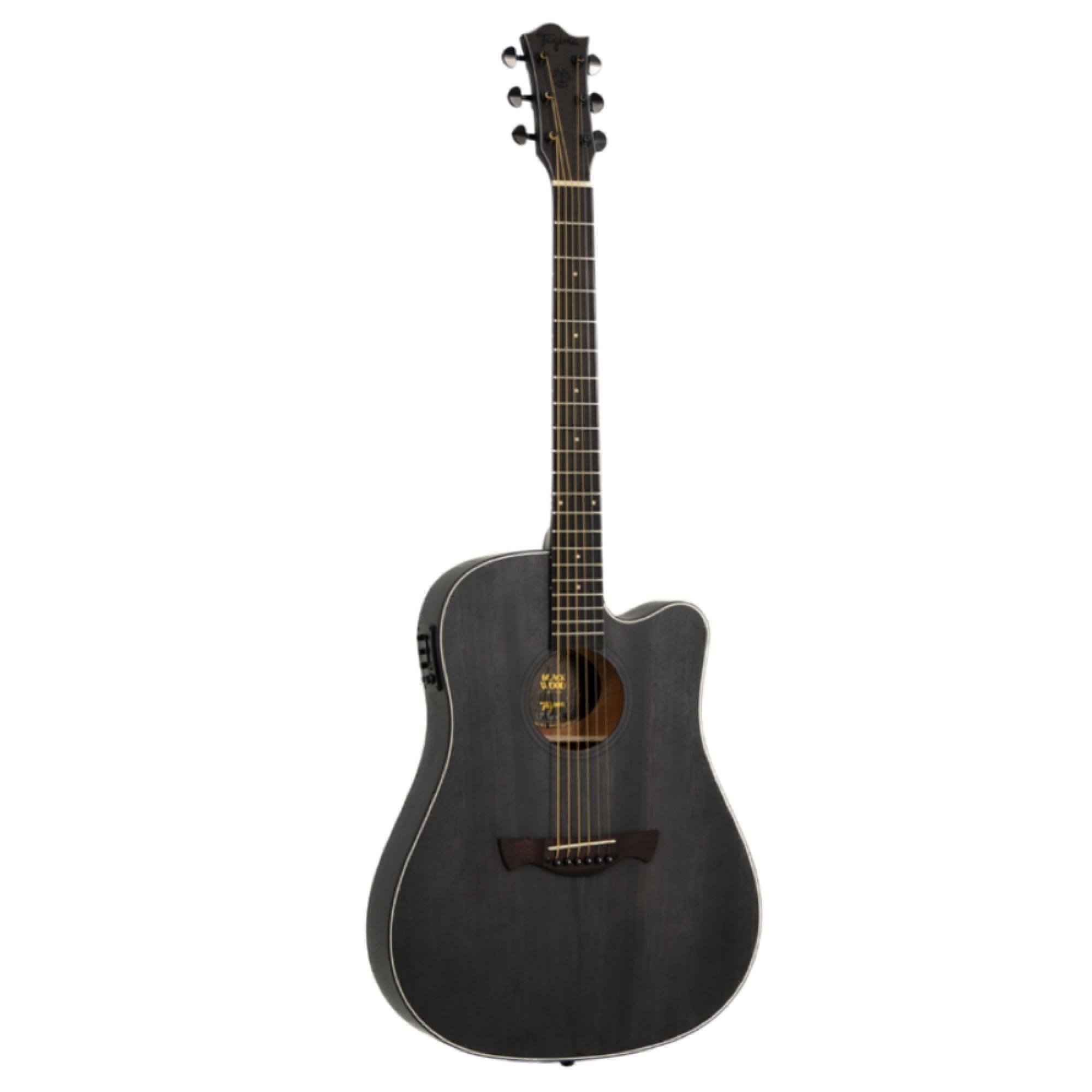 VIOLAO FOLK ACO TAGIMA TBW-400 OP PT