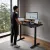 Mesa Elétrica Altura Ajustável Motor Duplo Fortrek Duo Lift 120x70 Preta
